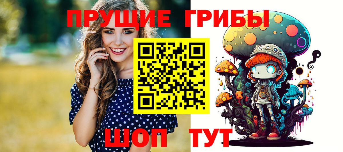 Псилоцибиновые грибы мицелий Армавир